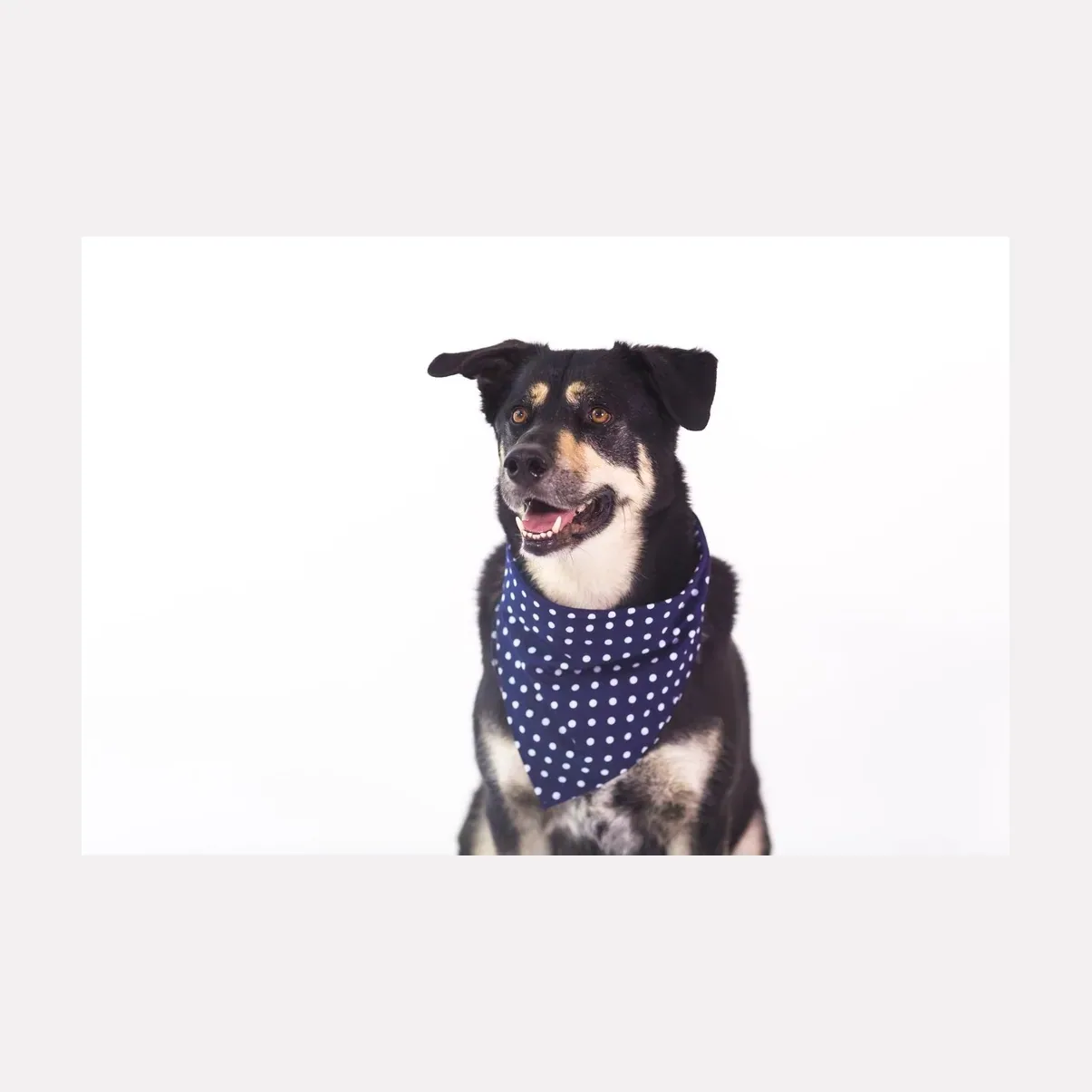 Bandana de lunares